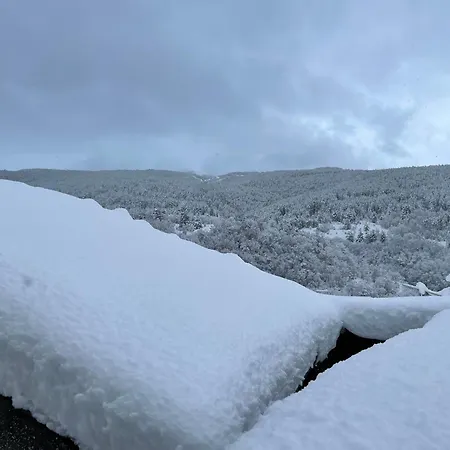 Large Family Apartament